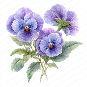 Fioletowe kwiaty Clipart | 20 Premium JPGs | Ilustracje botaniczne | Planery cyfrowe | Scrapbooking | Pobieranie cyfrowe | Projekty pamięci
