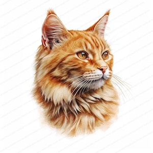 May include: A close-up portrait of a ginger cat with green eyes. The cat is looking to the right of the image and has a fluffy, orange coat.