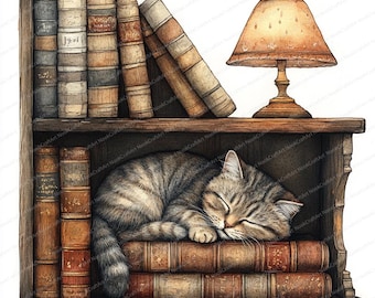 Könnte beinhalten: Aquarellillustration eines Holzregals mit alten Büchern. Eine getigerte Katze schläft friedlich auf dem unteren Regal zwischen den Büchern. Eine kleine Lampe steht auf dem oberen Regal.