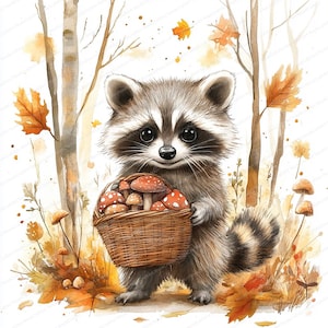 16 clipart wasbeer met paddenstoelenmand | Bos dieren kunst illustratie | Afdrukbare aquarel clipart | Hoge kwaliteit JPG's | Papierkunst