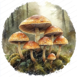 20 bospaddestoelen-clipart | Illustratiepakket bospaddestoelen| Afdrukbare aquarel clipart | Hoge kwaliteit JPG's | Papierkunst | Junkjournaal