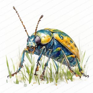 20 Käfer im Gras Clipart | Naturinspirierte digitale Illustration | Druckbare Aquarell Clipart | Hochwertige JPGs | Papiermodell | Zeitschrift