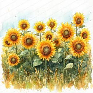 15 Sonnenblumen Feld Clipart | Helle sonnige Landschaftsmalerei | Druckbare Aquarell Clipart | Hochwertige JPGs | Papiermodell | Junk Journal