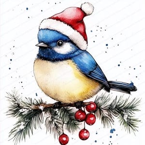 18 Clipart Oiseau mésange bleue | Illustration de carte de Noël | Clipart aquarelle imprimable | JPG de haute qualité | Téléchargement numérique | Journal indésirable