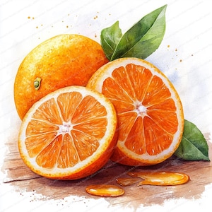 17 rodajas de naranja, ilustración de cítricos frescos y jugosos, clipart de acuarela imprimible, archivos JPG de alta calidad, manualidades de papel, diario basura