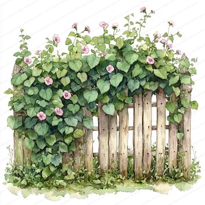 21 Clipart di recinti pieni di edera / Set di illustrazioni di viti in fiore / Clipart di acquerelli stampabili / JPG di alta qualità / Lavoretti di carta / Diario
