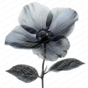 12 Imágenes prediseñadas de flores negras abstractas / Impresión de flores / Imágenes prediseñadas de acuarela imprimibles / JPG de alta calidad / Descarga digital / Artesanía de papel