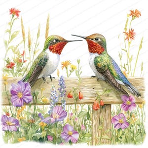 20 Hummingbird on Fence Clipart | Printable Watercolor Clipart | High Quality JPGs | Digital Download | Paper Craft | Junk Journal