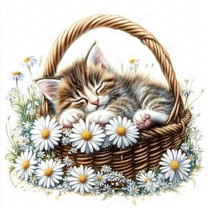 子猫のイラスト バンドル | 18 枚の高品質 JPG | 印刷可能な水彩画クリップアート | デジタル ダウンロード | ペーパー クラフト | ジャンク ジャーナル