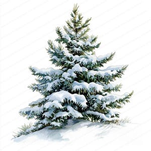 16 aquarel kerstboom clipart | Winterkerstboom | Afdrukbare aquarel clipart | Hoge kwaliteit JPG's | Papierkunst | junkjournaal