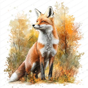 14 Fox Clipart | Fox in Forest | Printable Watercolor clipart | High Quality JPGs | Digital download | Paper craft | junk journa