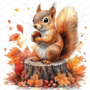 21 Squirrel with Acorn Clipart | Autumn Forest Illustration | Printable Watercolor clipart | High Quality JPGs | Paper craft | Junk journal
