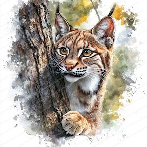 20 Clipart di linci curiose / Illustrazione di fauna selvatica selvaggia / Clipart di acquerelli stampabili / JPG di alta qualità / Lavoretti di carta / Diario spazzatura
