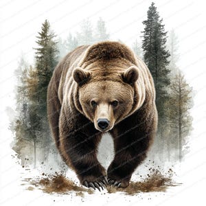 14 Clipart Ours brun | Images d'ours | Clipart aquarelle imprimable | JPG de haute qualité | Téléchargement numérique | Créations en papier | ordures ménagères