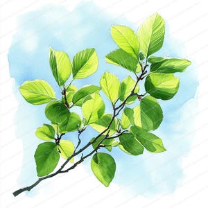 16 Clipart di foglie verdi del cielo / Arte digitale ispirata alla natura / Clipart di acquerelli stampabili / JPG di alta qualità / Artigianato di carta / Diario di spazzatura