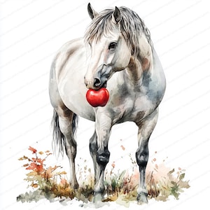 22 besneeuwde paardenafbeeldingen | Winterpaard met besneeuwde manen | Afdrukbare aquarel clipart | Hoge kwaliteit JPG's | Papierkunst | Junkjournaal