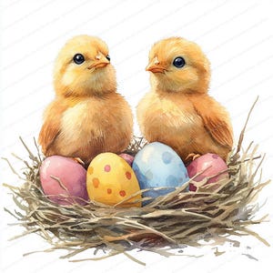 20 pollitos de Pascua en nido, ilustración de huevos de primavera, clipart de acuarela imprimible, archivos JPG de alta calidad, manualidades de papel, diario