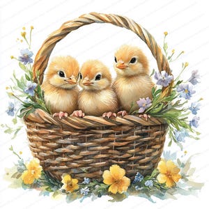 20 kippen in bloemenmand Clipart | Illustratie lente babyvogel| Afdrukbare aquarel clipart | Hoge kwaliteit JPG's | Junkjournaal