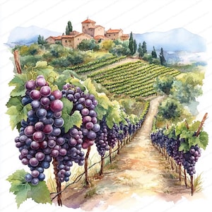 17 imágenes prediseñadas de laderas de viñedos / Paisajes escénicos de viñedos / Imágenes prediseñadas de acuarela imprimibles / JPG de alta calidad / Manualidades de papel / Diario basura