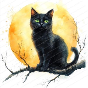 20 Clipart di luna di gatto nero / Illustrazione di notte mistica / Clipart di acquerello stampabile / JPG di alta qualità / Lavoretti di carta / Diario spazzatura