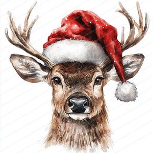 20 Hirsch mit Weihnachtsmütze Clipart | Rentier und Rehkitz | Aquarell Designs | Hochwertige JPG-Dateien | Sofortdownload | Papier Basteln