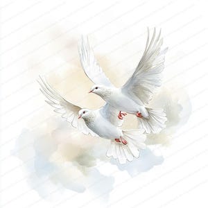 20 witte duif-clipart | Symbolische vredesduif clipart | Afdrukbare aquarel clipart | Hoge kwaliteit JPG's |  | Papierkunst | junkjournaal