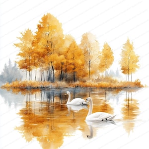 Könnte beinhalten: Aquarellmalerei von zwei weißen Schwänen, die auf einem See schwimmen. Das Wasser spiegelt die goldgelben Bäume und das Laub am Ufer wider. Das Kunstwerk erinnert an eine ruhige Herbstszene mit sanften Farben und einer friedlichen Atmosphäre.
