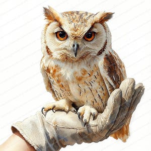 19 Eule Clipart auf Handschuh | Majestätische Vogel sitzt Illustration | Druckbare Aquarell Clipart | Hochwertige JPGs | Papiermodell | Junk Journal