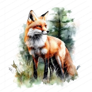 Renard dans la forêt des cliparts | Illustrations à l'aquarelle | 20 fichiers JPG de haute qualité | Téléchargement instantané | Créations en papier et journaux