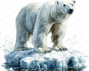 氷の上のホッキョクグマ 20 点のクリップアート | 北極の野生動物の