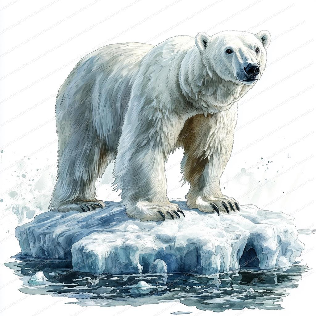 氷の上のホッキョクグマ 20 点のクリップアート | 北極の野生動物の