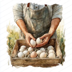 Può includere: Una persona con una tuta tiene in mano due uova bianche. Una scatola di cartone per uova piena di uova bianche e marroni si trova in una cassa di legno.