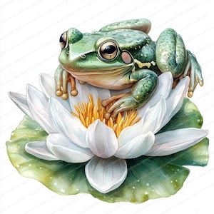 21 Clipart kikker op lelie | Op de natuur geïnspireerde digitale illustratie | Afdrukbare aquarel clipart | Hoge kwaliteit JPG's | Papierkunst | dagboek