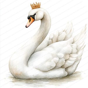 20 imágenes prediseñadas de cisne con corona / Diseño de ilustración de pájaro real / Imágenes prediseñadas de acuarela imprimibles / JPG de alta calidad / Manualidades de papel / Diario basura