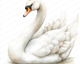20 王冠をつけた白鳥のクリップアート | 王室の鳥のイラストデザイン