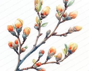 19 Clipart di rami in boccio primaverili / Illustrazione della natura primaverile / Clipart di acquerelli stampabili / JPG di alta qualità / Artigianato di carta