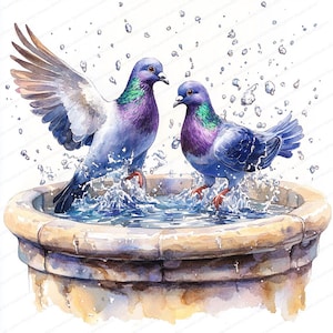 18 pigeons se baignant dans la fontaine Clipart | Illustration de colombes ludiques aquatiques | Clipart aquarelle imprimable | JPG de haute qualité | Créations en papier