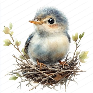 18 Clipart di nidi di uccellini / Illustrazione di alimentazione a becco aperto / Clipart di acquerelli stampabili / JPG di alta qualità / Lavoretti di carta / Diario spazzatura