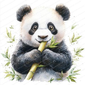 20 clipart panda die bamboe eet | Illustratie blije beer | Afdrukbare aquarel clipart | Hoge kwaliteit JPG's | Papierkunst | Junkjournaal
