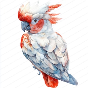 21 Kakadu Wappen Clipart | Tropische Vogel Illustration Set | Druckbare Aquarell Clipart | Hochwertige JPGs | Papiermodell | Junk Journal