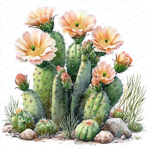 Ensemble de 17 cliparts fleur de cactus | Illustrations animées du désert | Clipart aquarelle imprimable | JPG de haute qualité | Créations artisanales en papier | Journal indésirable