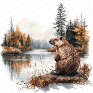 14 Beaver Clipart | Beaver by the River | Printable Watercolor clipart | High Quality JPGs | Digital download | Paper craft | junk journa