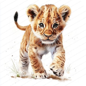 14 cliparts mignon bébé lion | Art de pépinière de lion | Clipart aquarelle imprimable | Fichiers JPG de haute qualité | Téléchargement numérique | Haute résolution