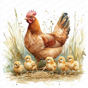 18 Clipart poulet et poussins | Illustration d'oiseaux de basse-cour | Clipart aquarelle imprimable | JPG de haute qualité | Créations artisanales en papier | Journal indésirable