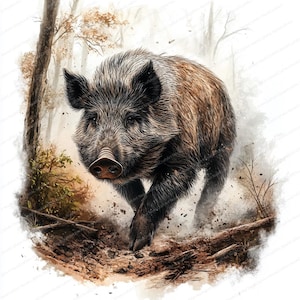 16 Wild Boar at Sunset Clipart | Scenic Nature Designs | Printable Watercolor Clipart | High Quality JPGs | Digital Download | Paper Craft