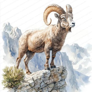 21 Clipart di scogliere di capre di montagna / Illustrazione di fauna selvatica maestosa / Clipart di acquerelli stampabili / JPG di alta qualità / Artigianato di carta / diario