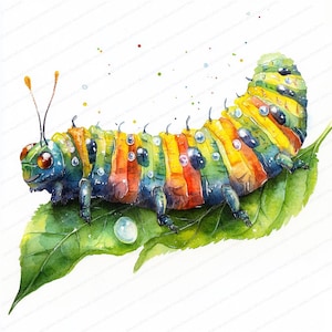 17 Clipart rups met dauw | Op de natuur geïnspireerde digitale illustratie| Afdrukbare aquarel clipart | Hoge kwaliteit JPG's | Junkjournaal