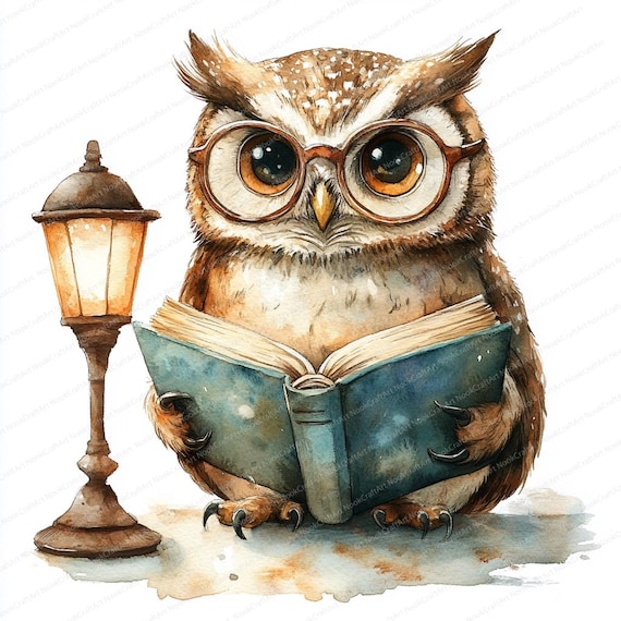 20 本の読書をするフクロウのクリップアート | かわいい夜のイラスト