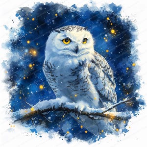 14 Clipart de coruja da neve | Coruja-das-torres | Ilustrações fofas de coruja | Clipart de aquarela para impressão | JPGs de alta qualidade | Download digital | Artesanato em papel
