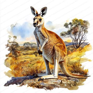 13 cliparts kangourou australien | Art kangourou aquarelle | Paysage australien imprimable | JPG de haute qualité | Créations en papier | Journal indésirable